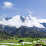 Malaysia Transport for Tourists: Tips, Tricks & Must-Know Routes