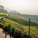 Exploring Cameron Highlands Malaysia: Tea Plantations & Hotel