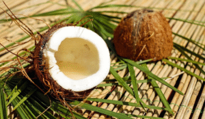 Malaysia coconut