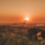 Spectacular Sungai Petani: Kedah’s Blossoming City of Opportunity