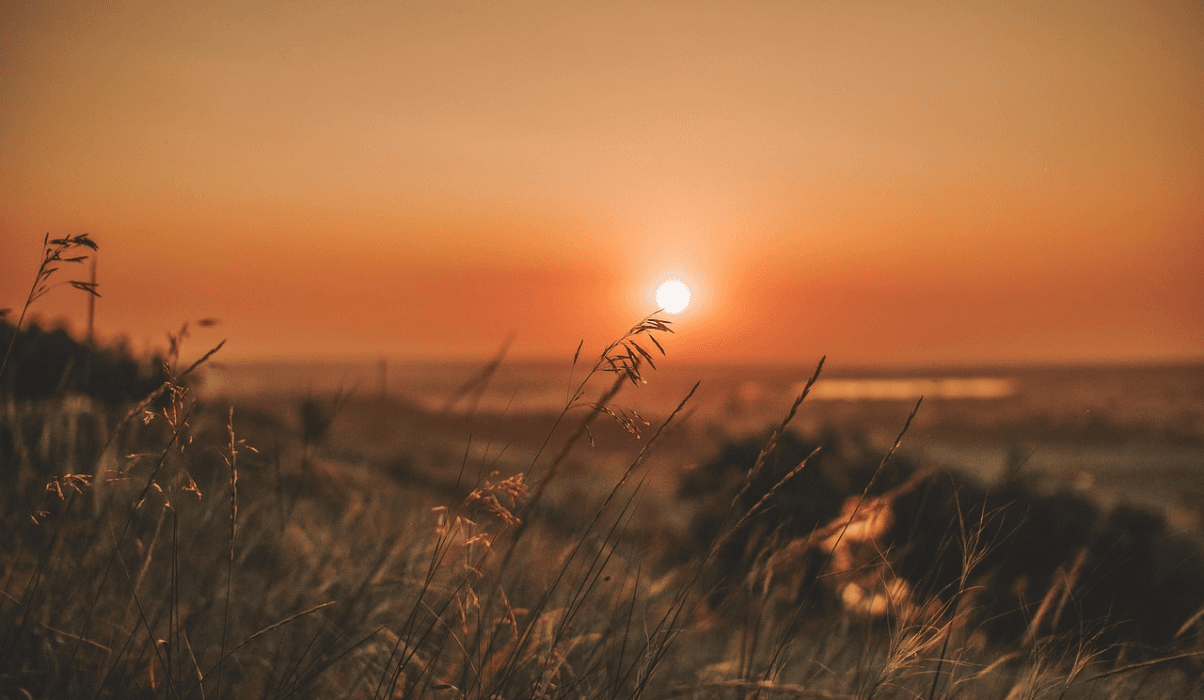 Spectacular Sungai Petani: Kedah’s Blossoming City