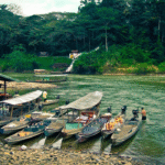 Charming Temerloh: Discover the Delicious Home of Patin Fish