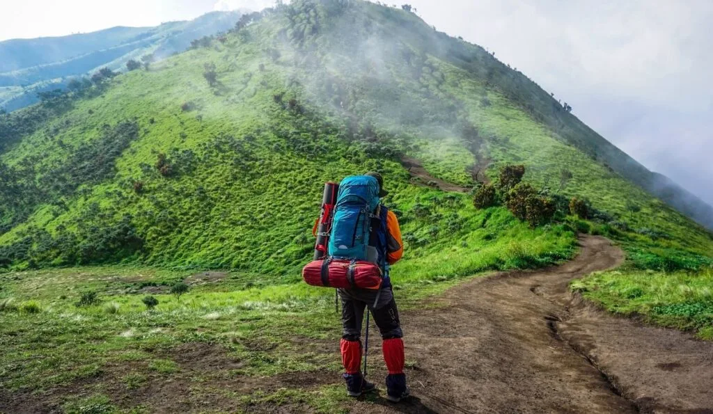 Backpacker guide in Malaysia: a traveler walking along a scenic trail with a backpack, ready to explore cities, nature, and culture.