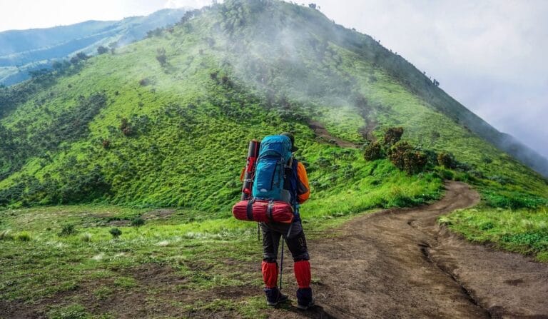 Backpacker guide in Malaysia: a traveler walking along a scenic trail with a backpack, ready to explore cities, nature, and culture.