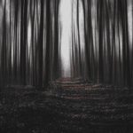 Penanggalan: The Floating Head Legend of Malaysia