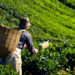 The Ultimate 2 Weeks Itinerary Malaysia: A Journey Through Culture, Nature, and Islands