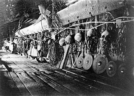 Traditional trophy skulls hanging in a Dayak longhouse gallery above ceremonial brass gongs, illustrating the history of headhunting in Borneo.