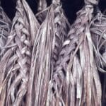 The Headhunters of Borneo: A Bloody History and Spiritual Quest