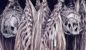 A vintage black-and-white photograph of a tribal warrior in ceremonial dress holding two trophy skulls, illustrating the fierce history of headhunting in Borneo and the indigenous cultures encountered by Z Special Unit during WWII.
