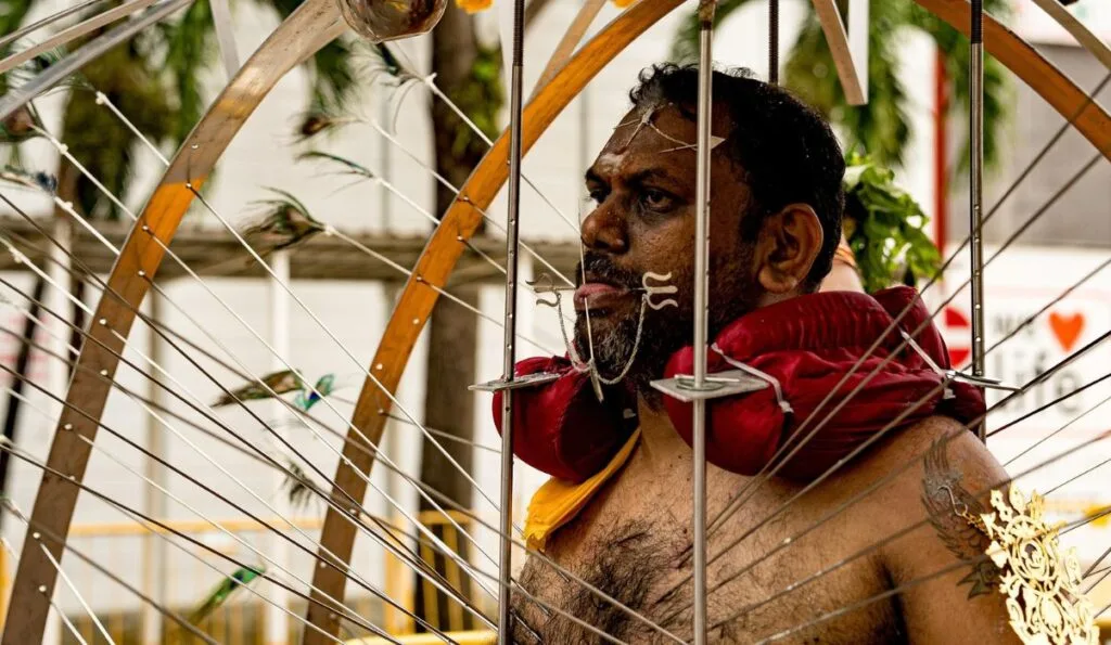 A devotee at the Thaipusam festival carrying a Kavadi with metal skewers piercing his cheeks and chest.