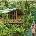 10 Best Eco Tourism Tours in Malaysia for Your 2026 Bucket List