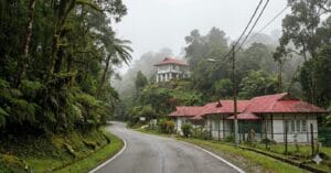 A winding asphalt road leads through a lush, misty tropical forest toward white colonial-style bungalows with red roofs on Maxwell Hill, Malaysia.